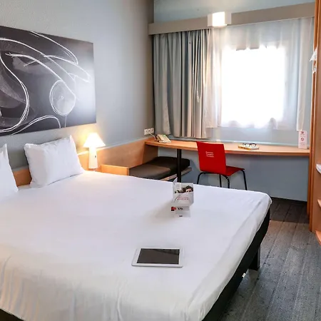 Ibis Sud