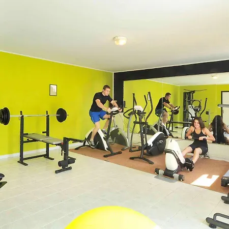Ibis Sud